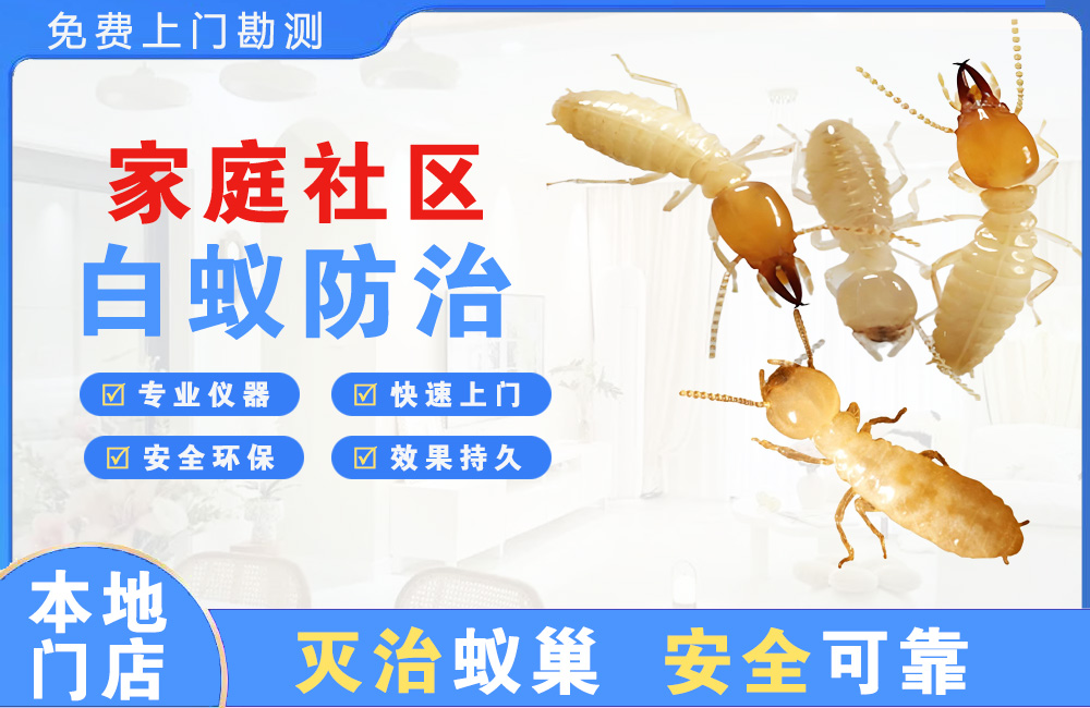 江北家庭社区白蚁防治