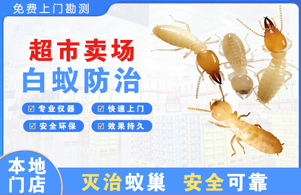 江北超市卖场白蚁防治