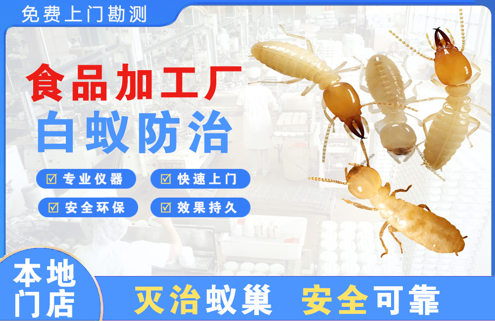 江北食品加工厂白蚁防治
