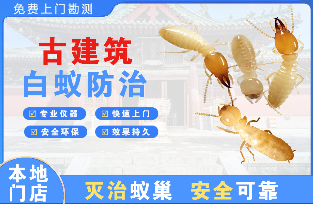 江北古建筑白蚁防治