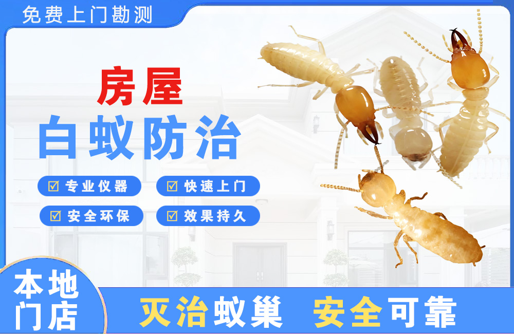 江北房屋白蚁防治